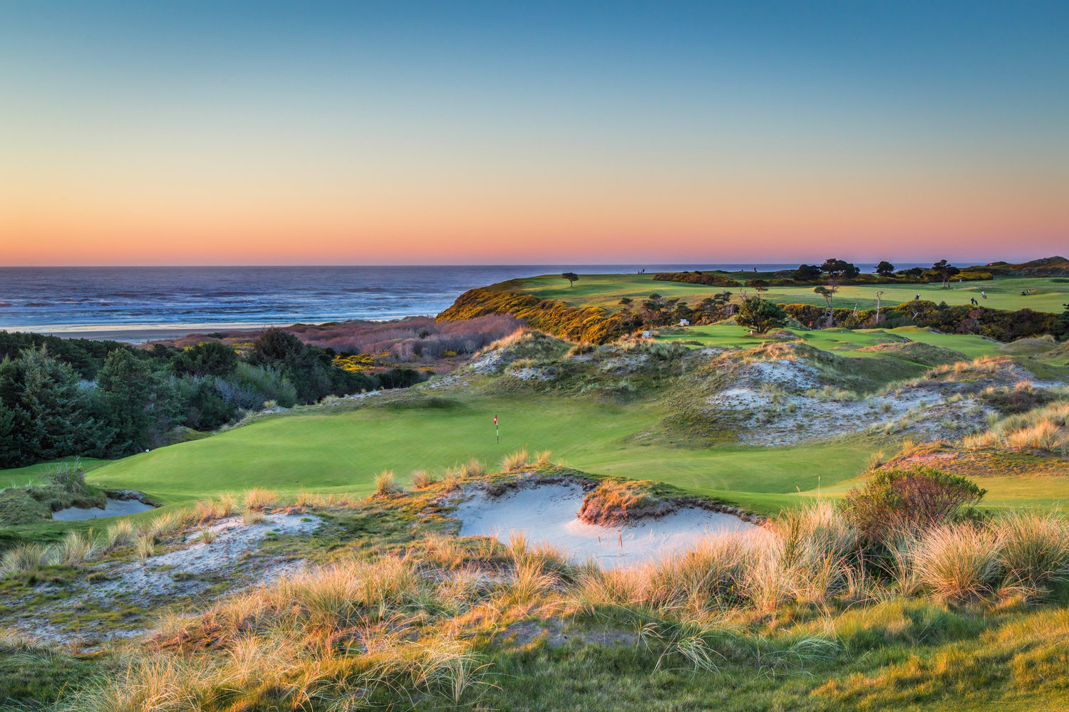 Golf Tour Specialist for USA and Japan golf tours